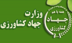 افزایش 730 درصدی اشتغال در استان اصفهان   